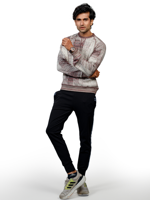 Knitted Jacquard Full Sleeved Sweatshirt Textured Design - SWTSJ0223